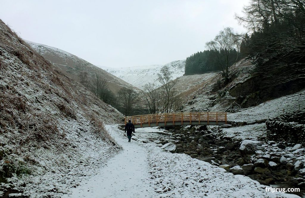 crossing the wooden bridge on the walking path
